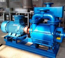 江蘇2BE水環真空泵