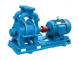 江蘇水環真空泵